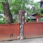 IMG_1692 – 2009-08-03 at 07-16-38