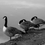IMG_5765_640_sv