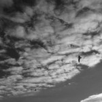 IMG_8055