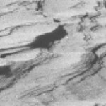 cropped-IMG_8268_600.jpg