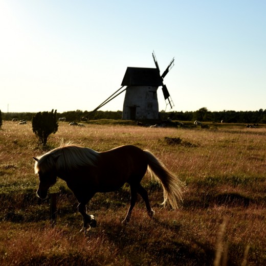 DSC_0366_1024