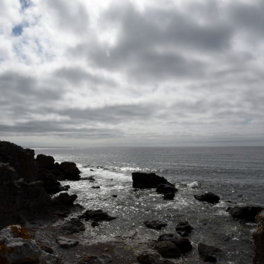 DSC_0410_1024