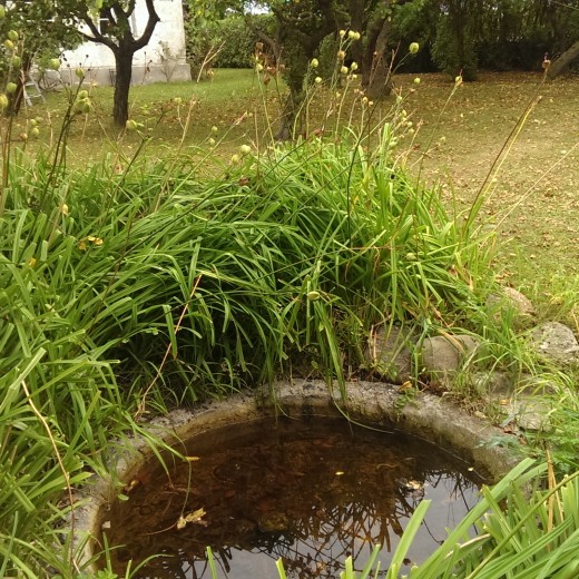 wpid-wp-1441023804181.jpeg