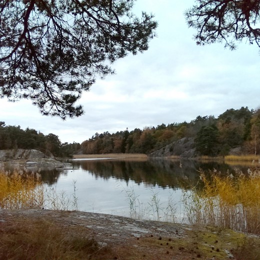IMAG0401_18x24