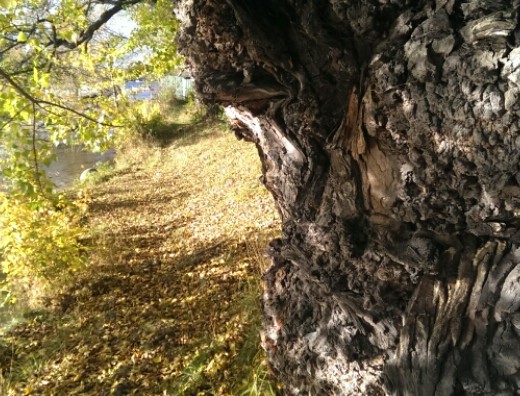 wpid-wp-1445600604844.jpeg