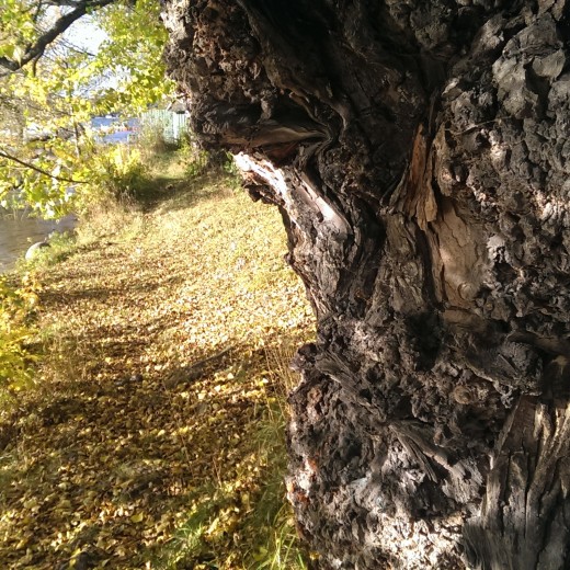 wpid-wp-1445600604844.jpeg