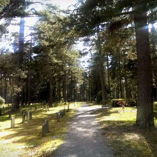 IMAG0632_1.jpg