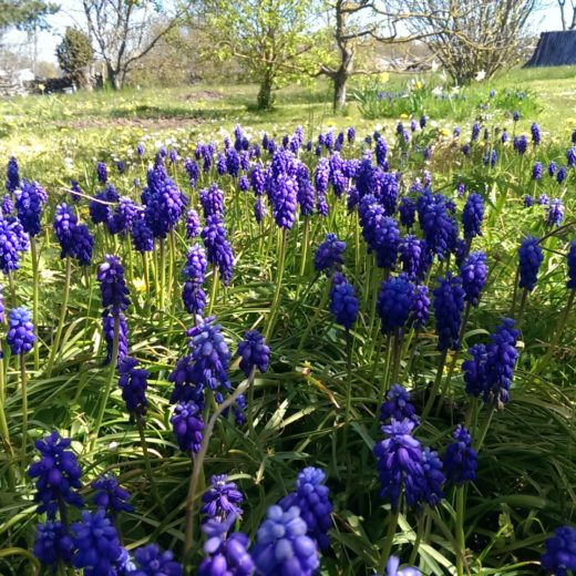IMAG0654.jpg