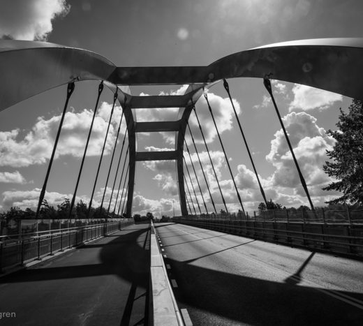 _DSC7146