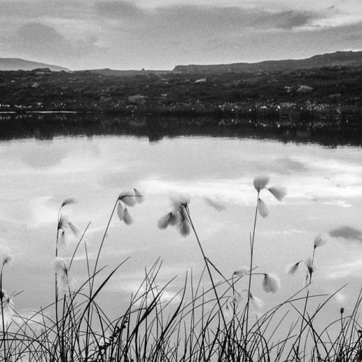 cropped-N040801.jpg